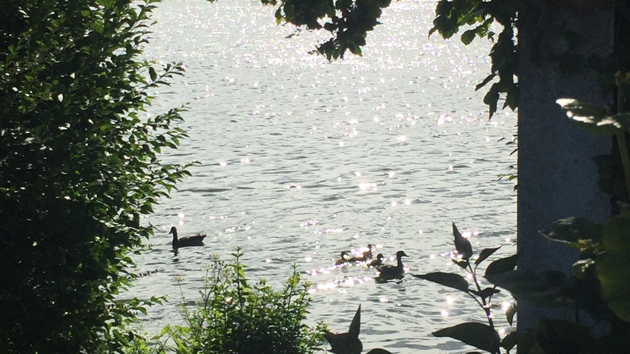 Photo of Outdoor in Hede