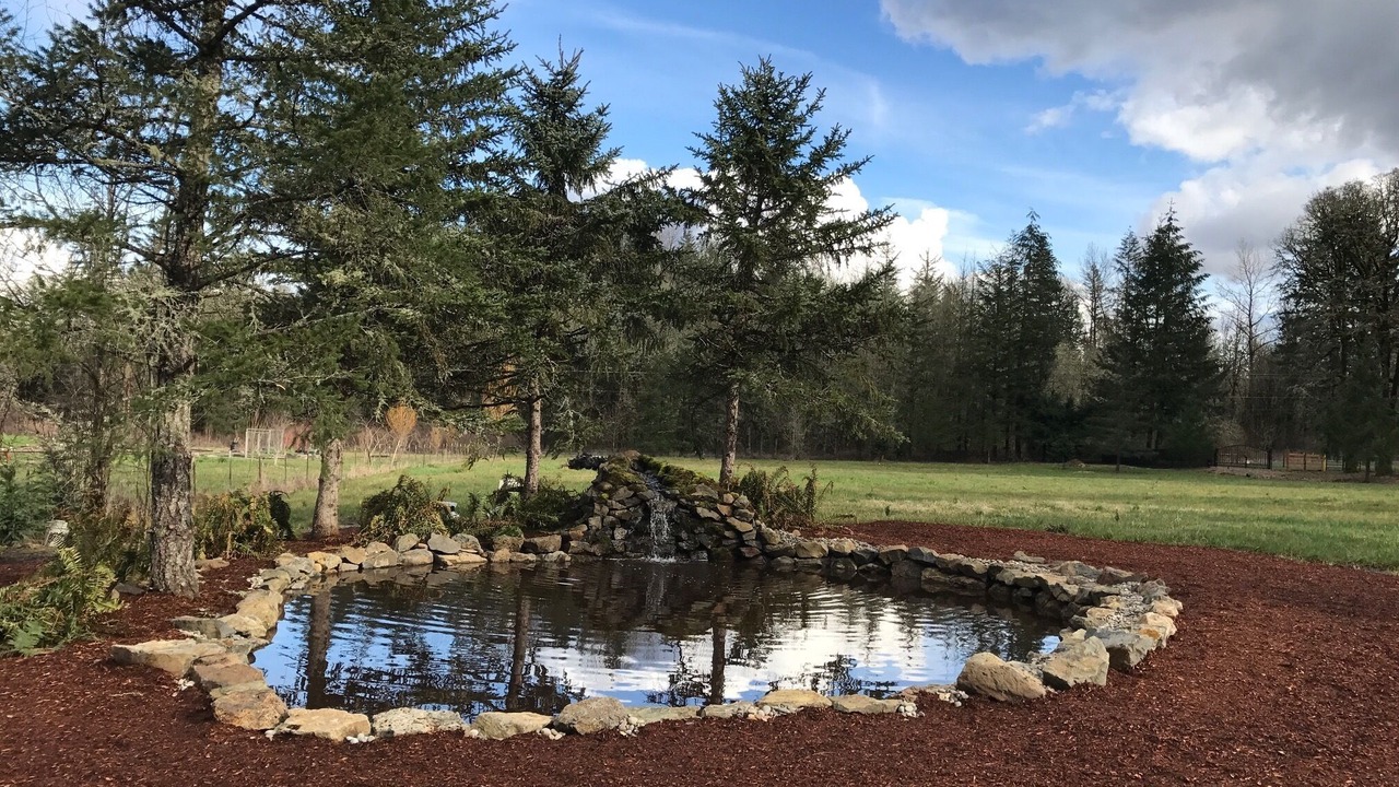 Photo of Outdoor in Carver