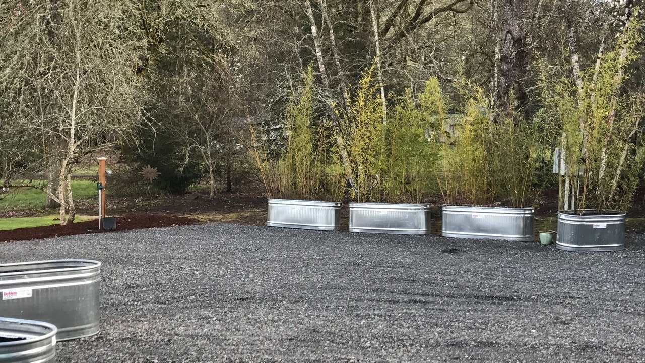 Photo of Outdoor in Carver