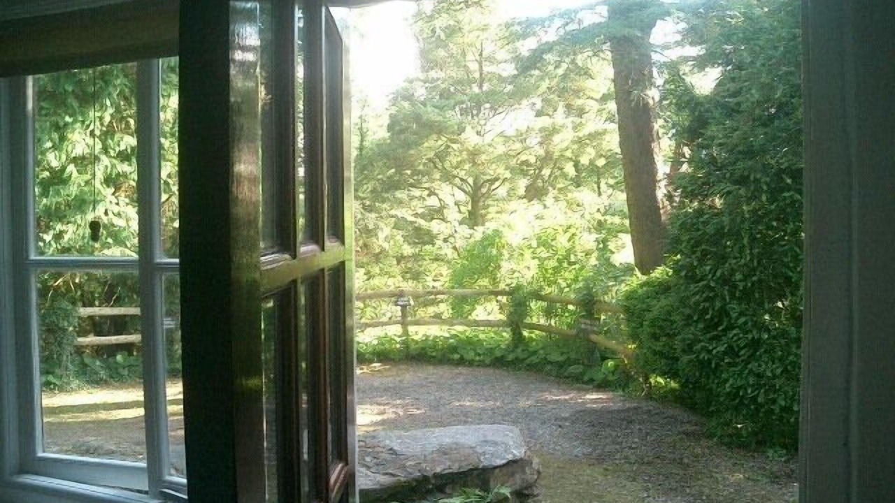 Photo of Others in Machynlleth