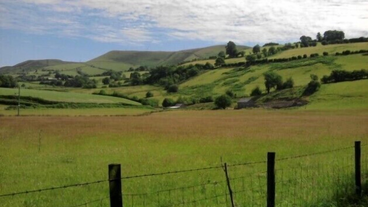 Photo of Others in Machynlleth