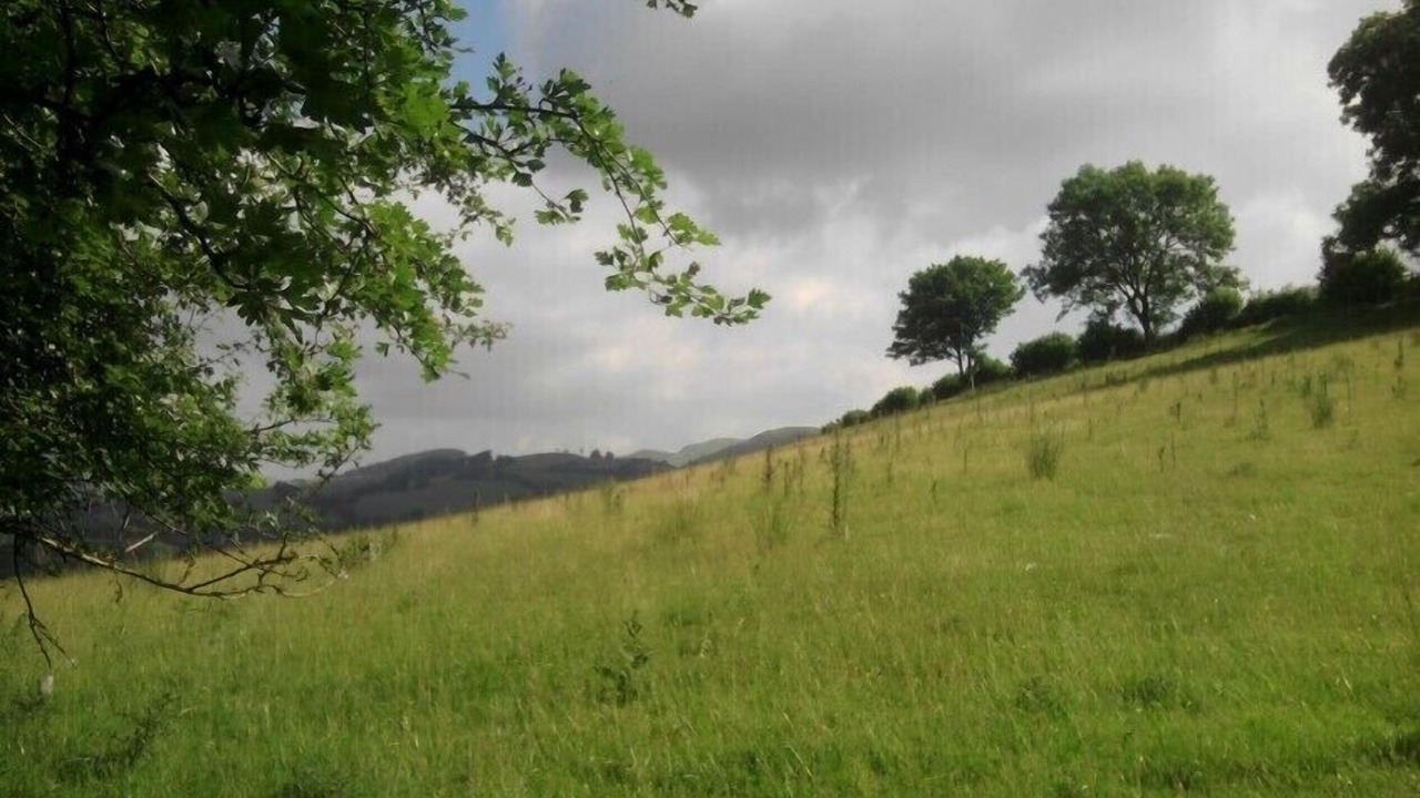 Photo of Outdoor in Machynlleth