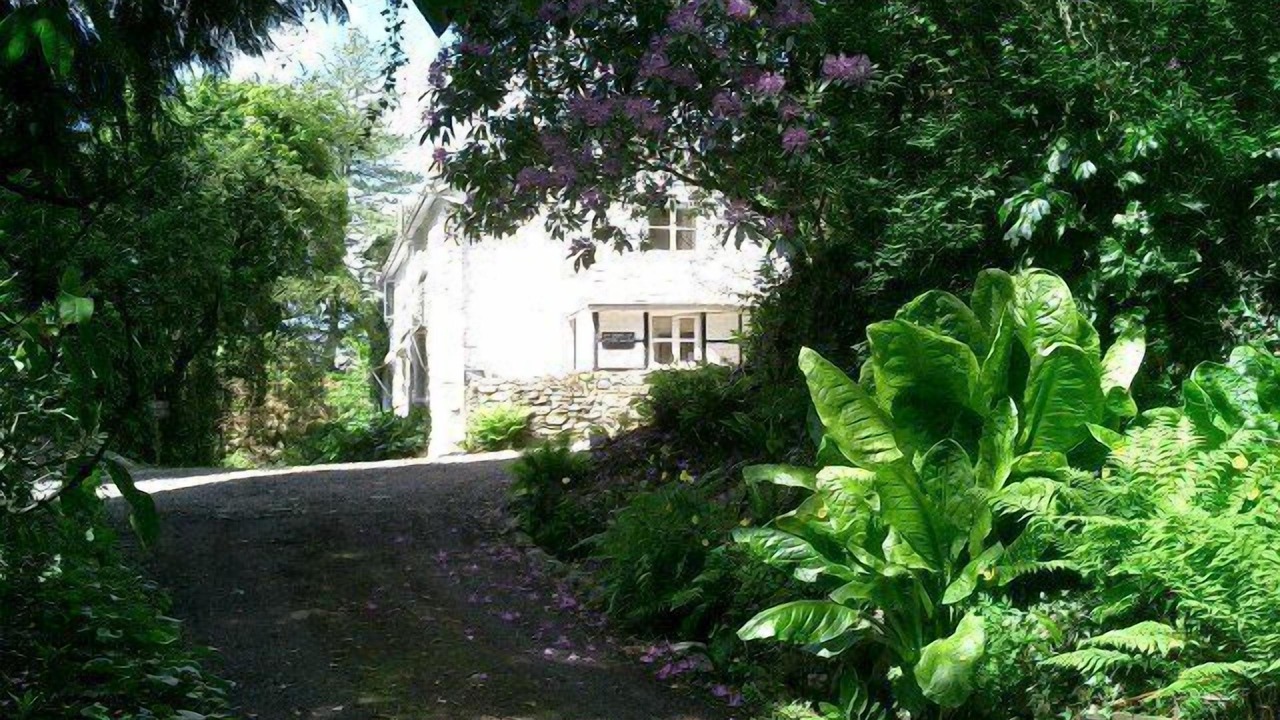 Photo of Outdoor in Machynlleth