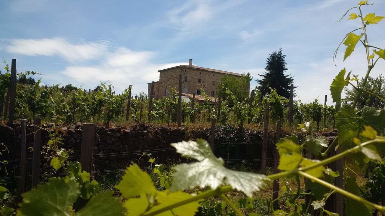 Photo of Outdoor in Rosieres