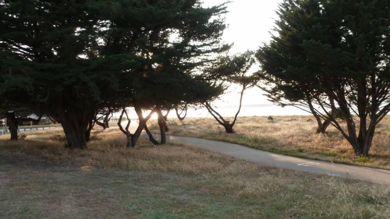 Photo of Outdoor in Rivedoux-Plage