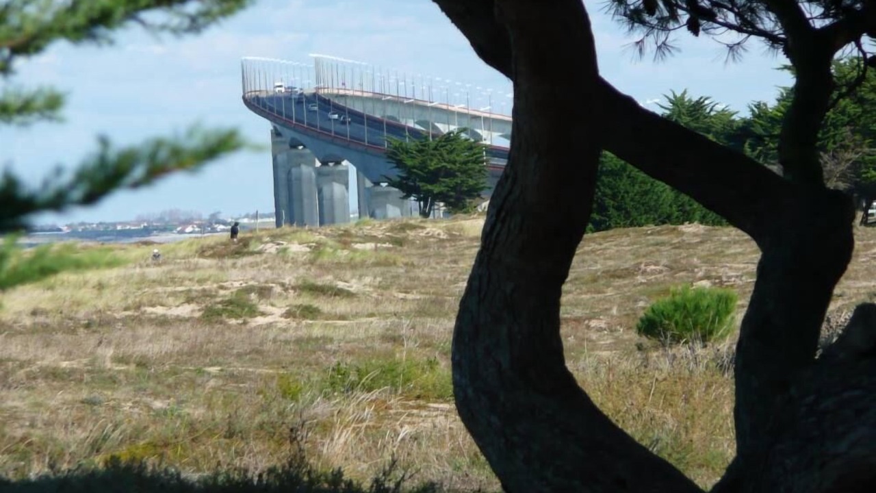 Photo of Outdoor in Rivedoux-Plage