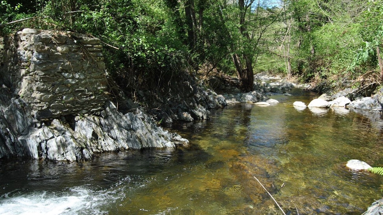 Photo of Outdoor in Reynes