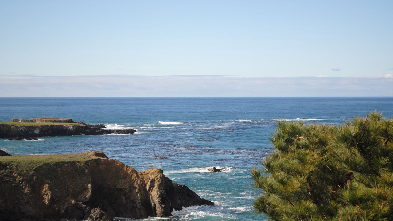 Photo of Others in Mendocino