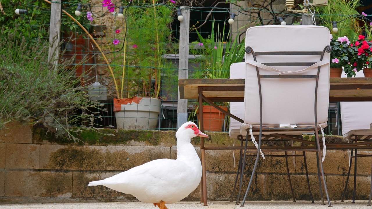 Photo of Outdoor in Saint-Laurent-de-Cerdans