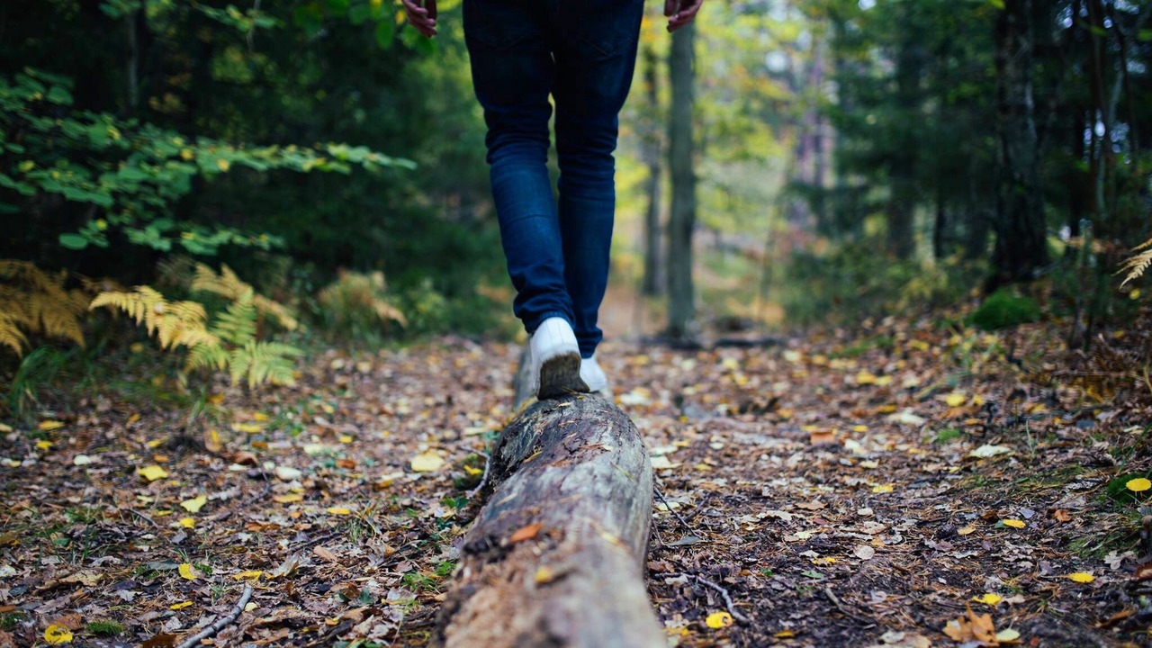 Photo of Others in Pine Mountain