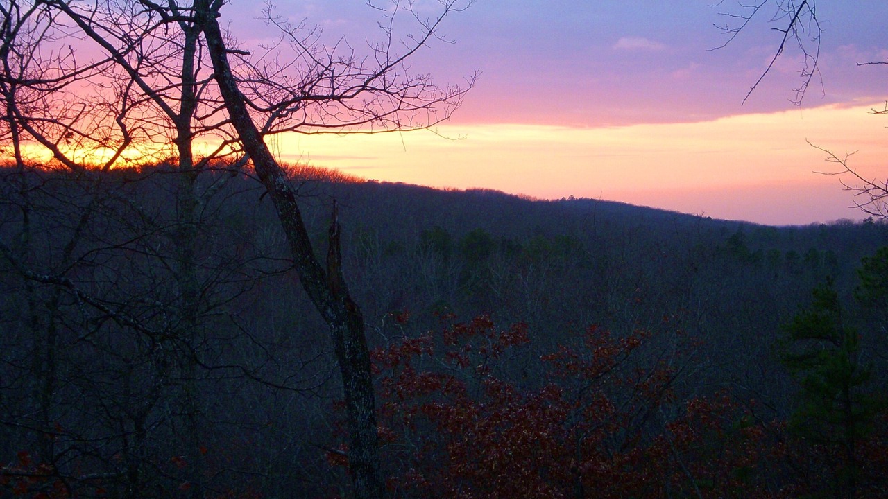 Photo of Others in Pine Mountain