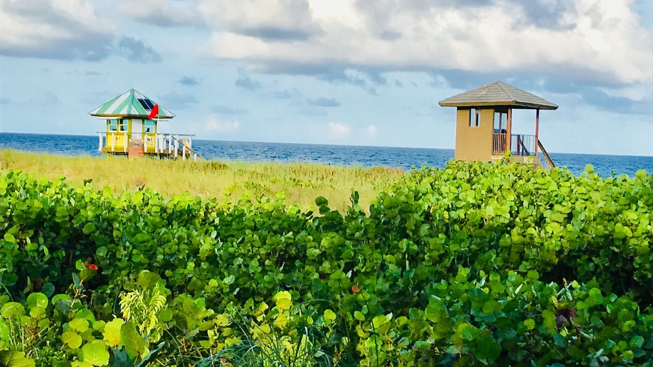 Photo of Outdoor in Delray Beach
