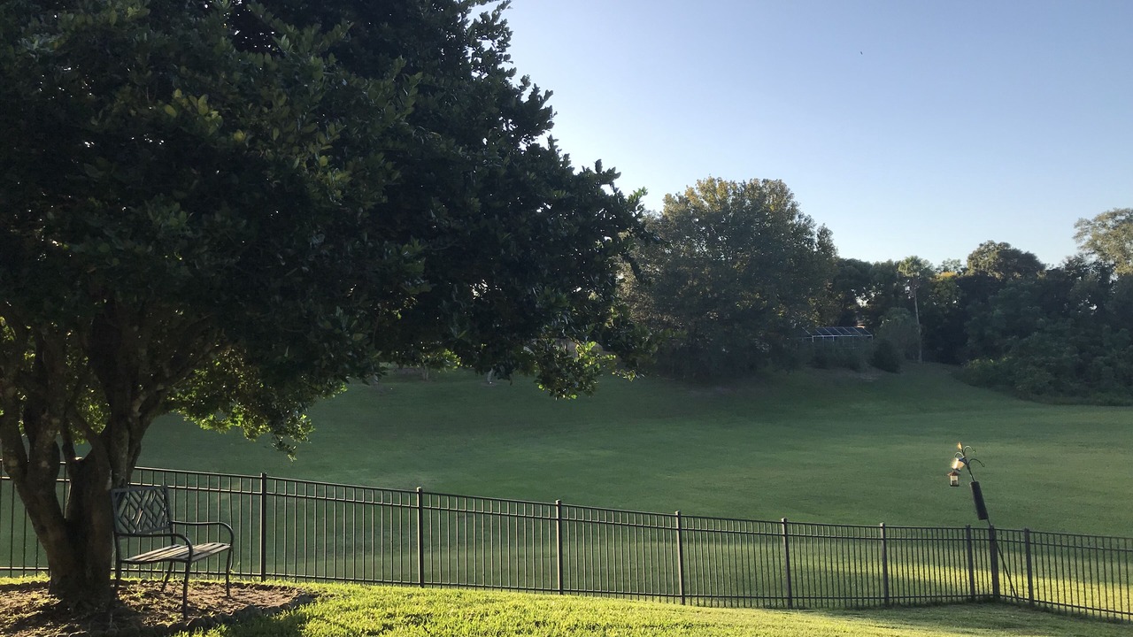 Photo of Outdoor in Plymouth