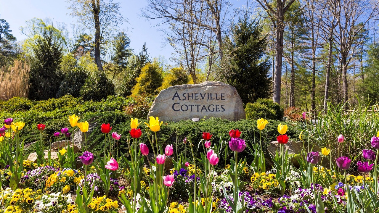 Photo of Outdoor in Skyland