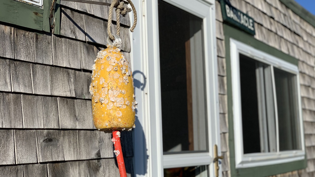 Photo of Outdoor in Friendship