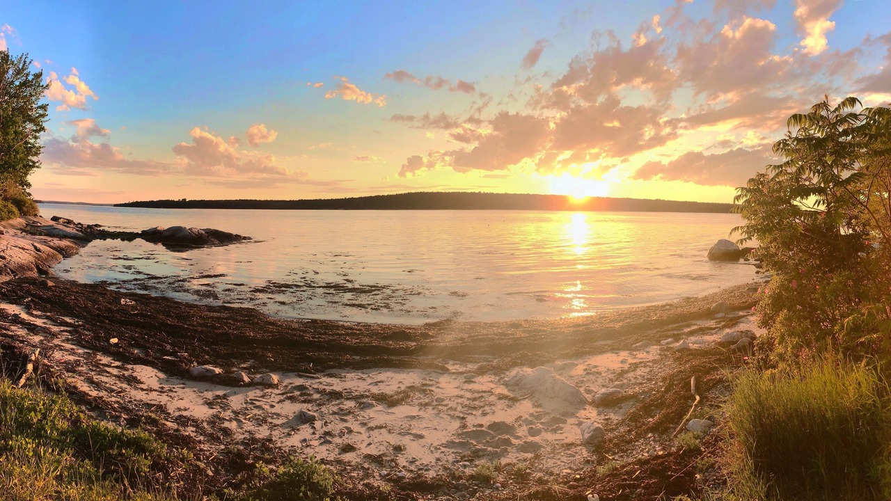 Photo of Others in Friendship