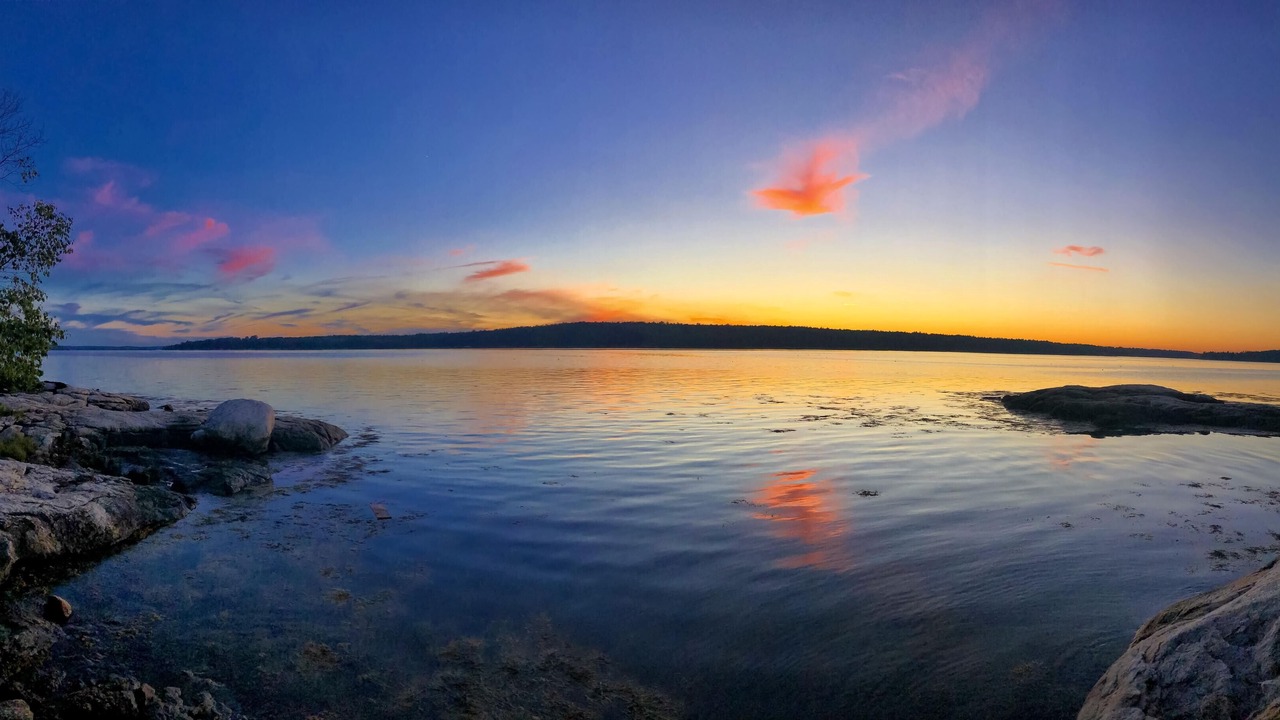 Photo of Others in Friendship