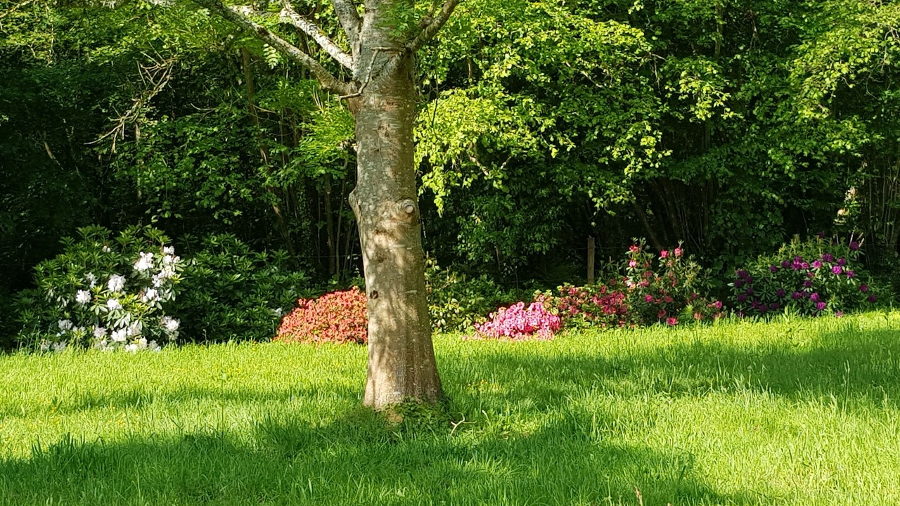 Photo of Outdoor in Barneville-la-Bertran