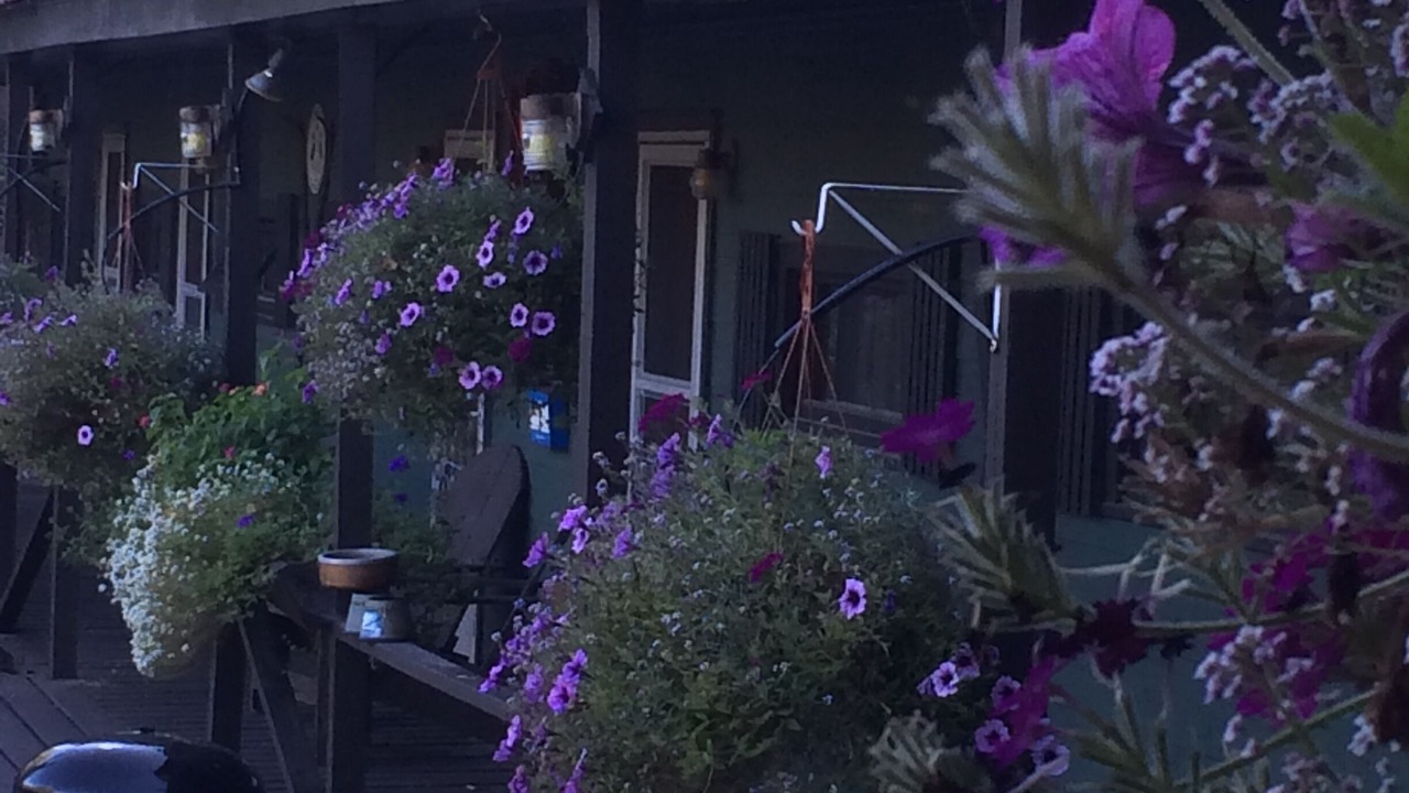 Photo of Others in Chestertown