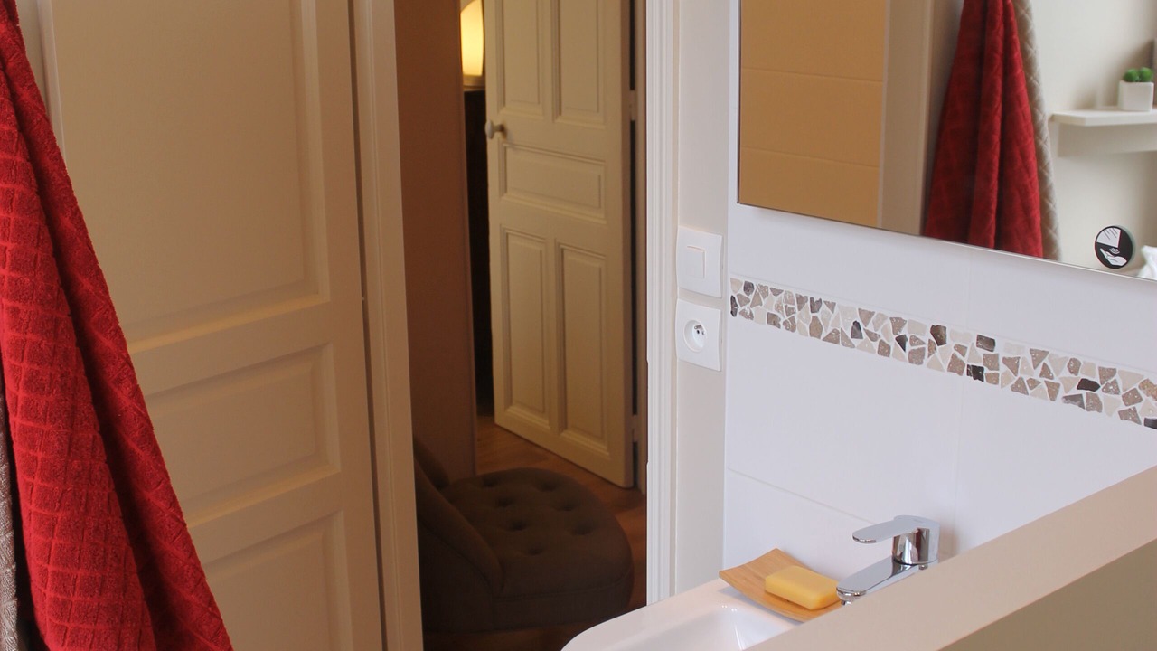 Photo of Bathroom in Dijon Centre Ville