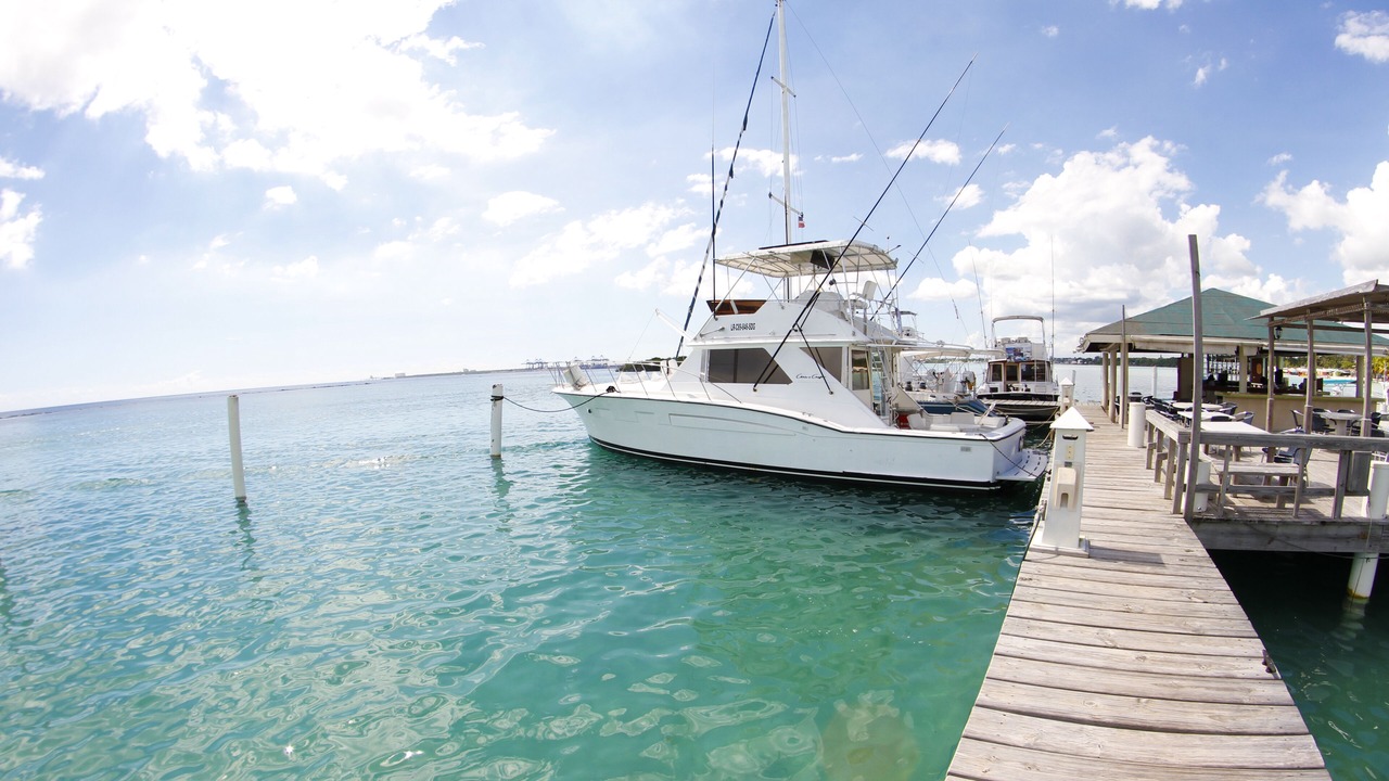 Photo of Others in Boca Chica