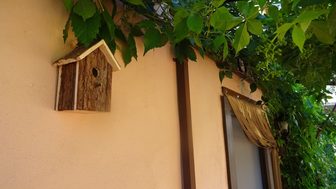 Photo of Outdoor in Benimantell