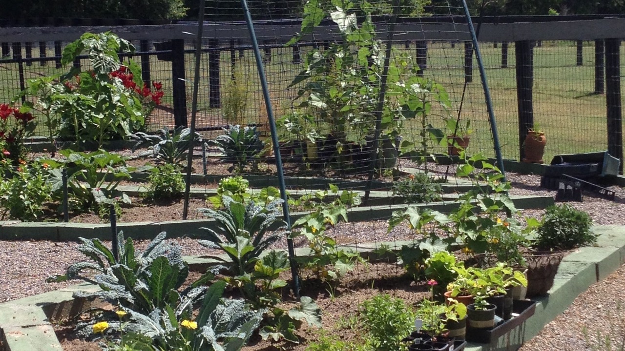 Photo of Outdoor in Aiken