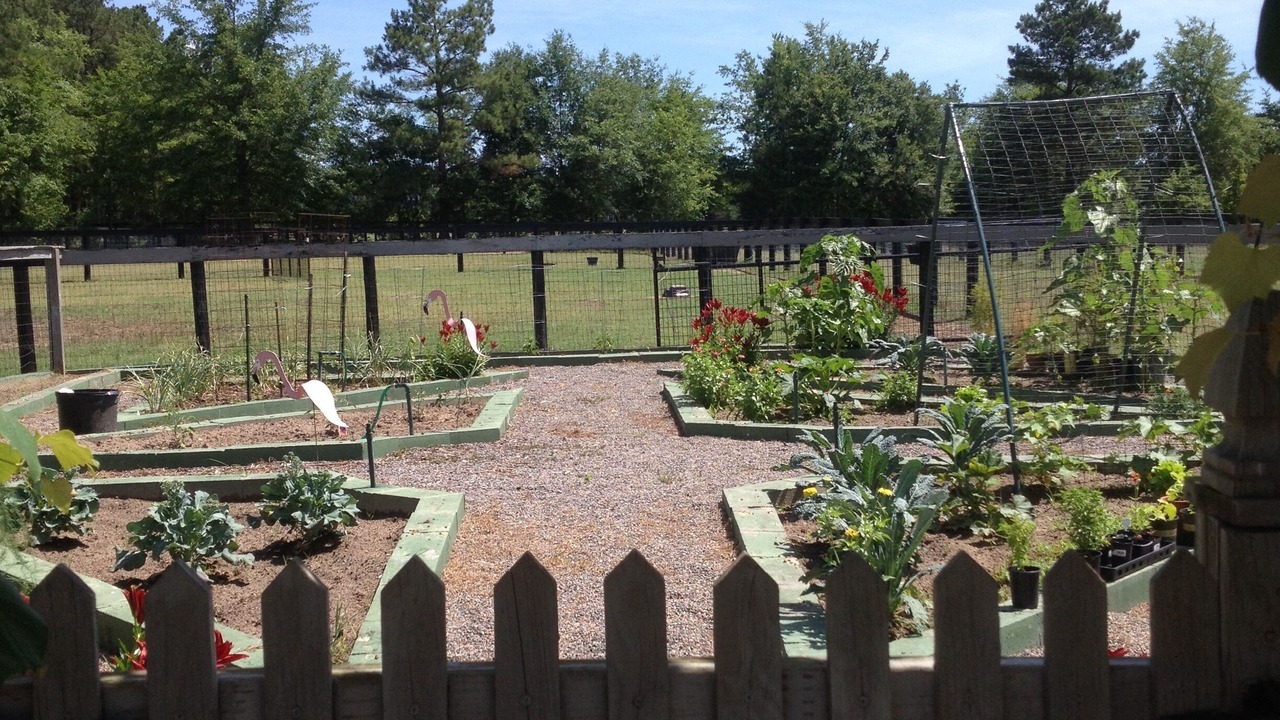 Photo of Outdoor in Aiken