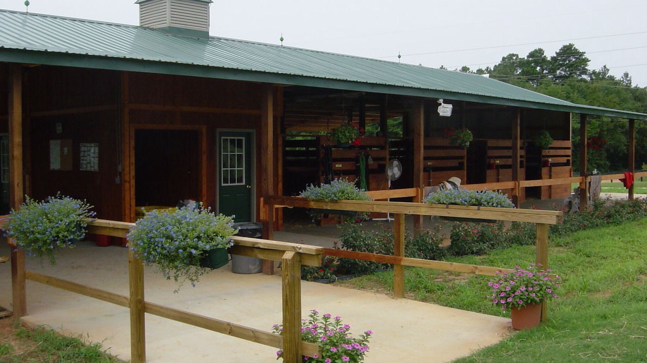 Photo of Outdoor in Aiken