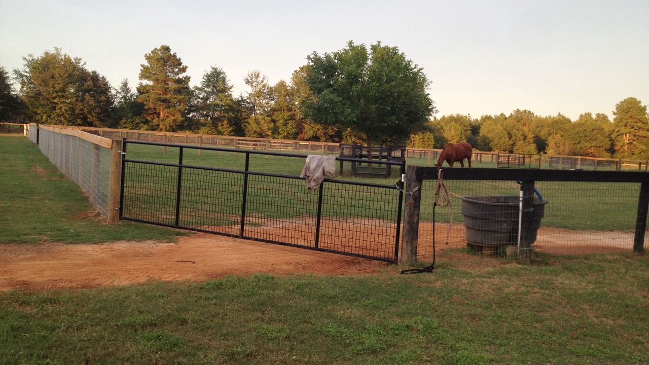 Photo of Others in Aiken