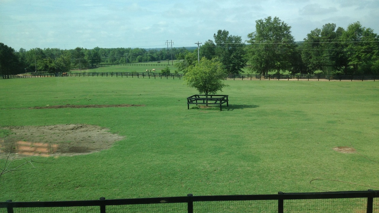 Photo of Others in Aiken