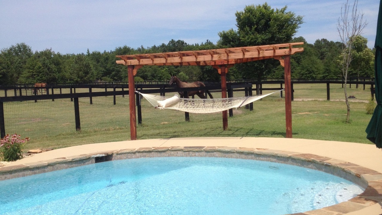 Photo of Others in Aiken