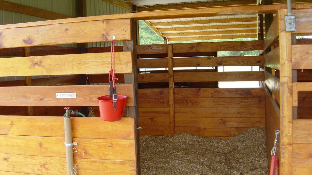 Photo of Bedroom in Aiken