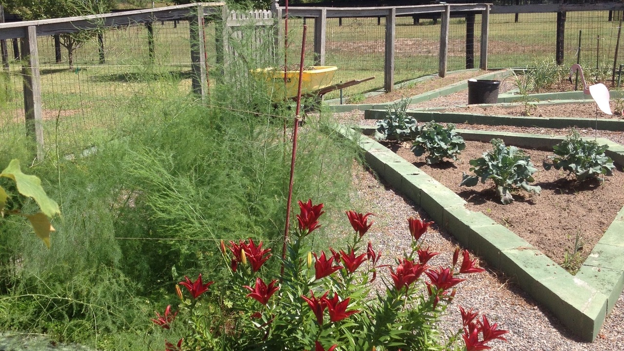 Photo of Outdoor in Aiken