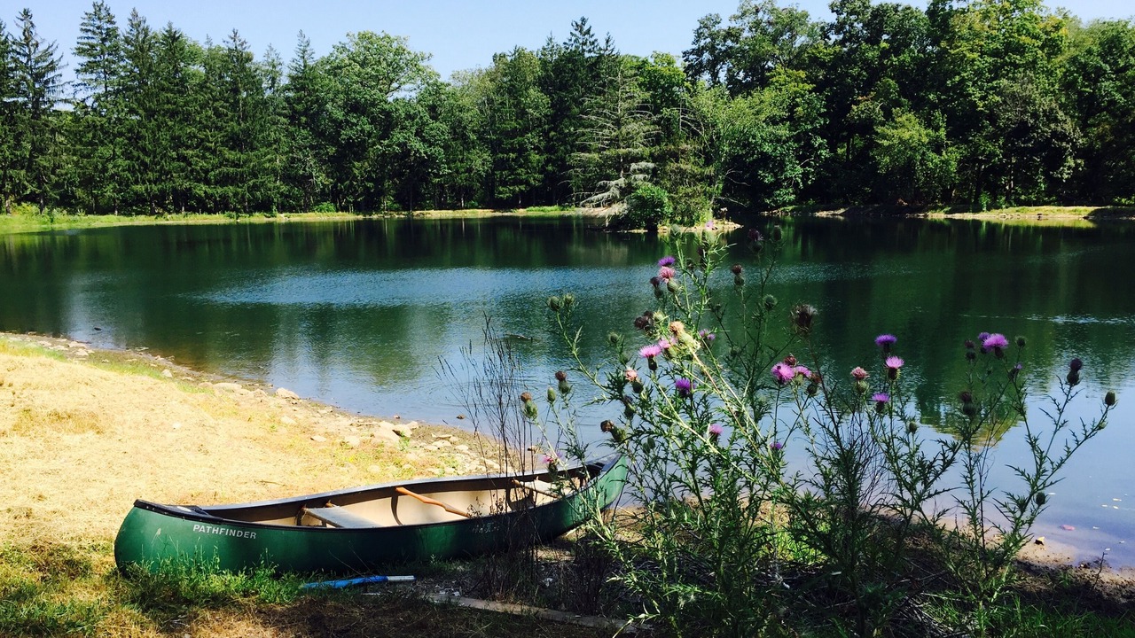 Photo of Outdoor in Perkasie