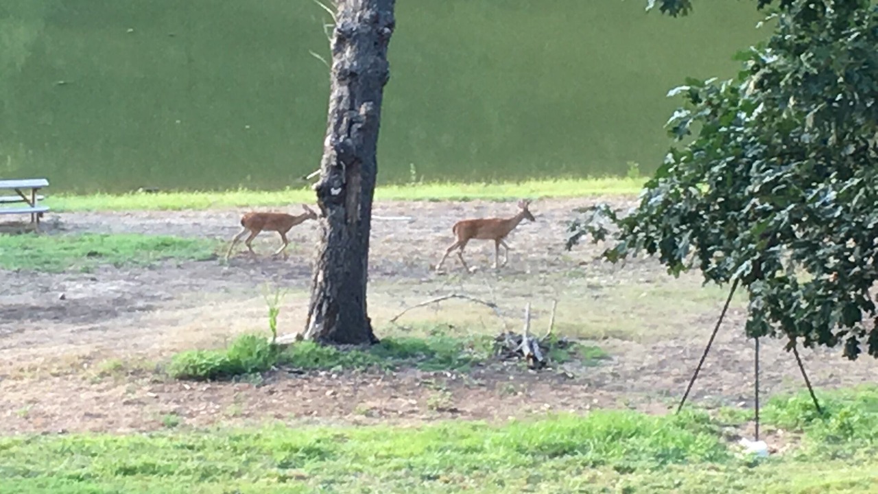 Photo of Outdoor in Afton