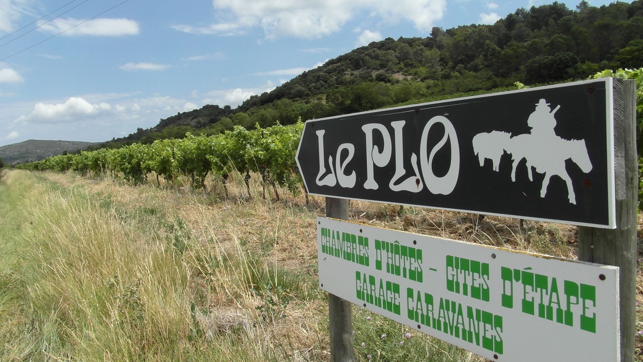 Photo of Outdoor in Montlaur