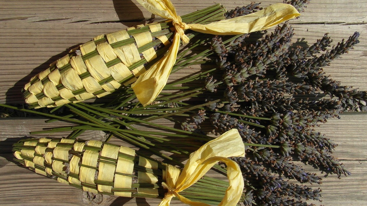 Photo of Others in Montlaur