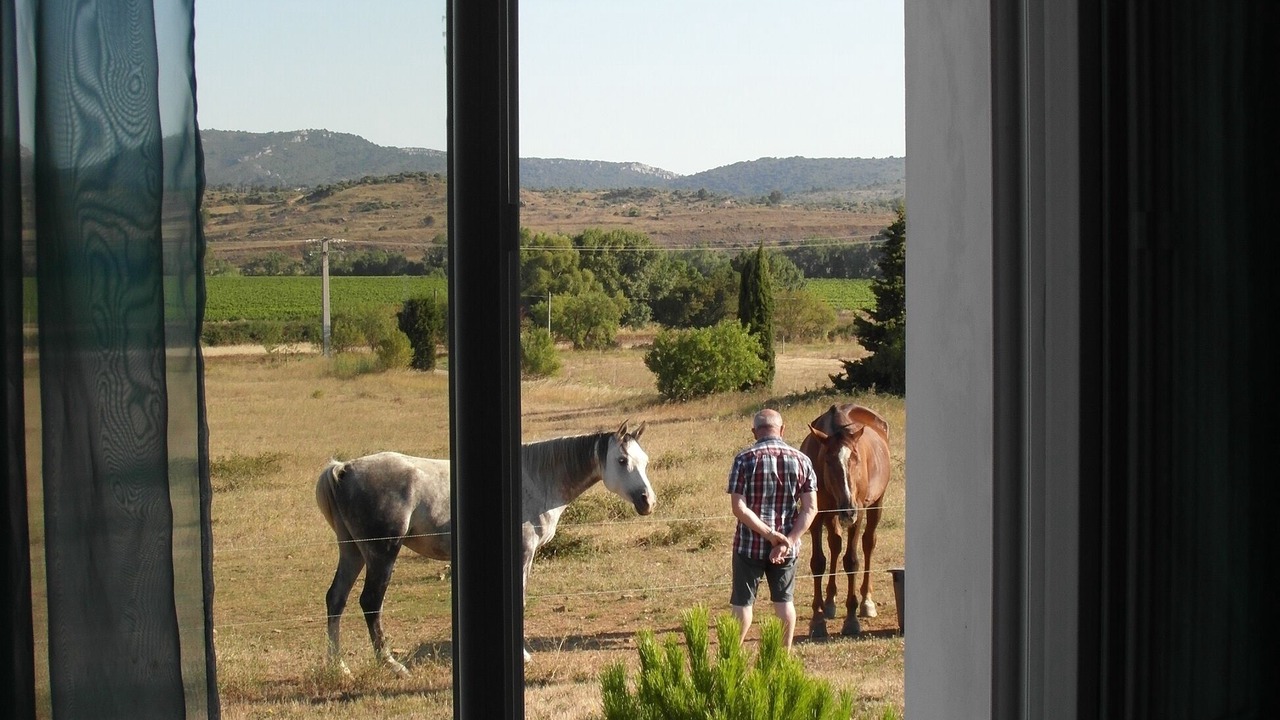 Photo of Others in Montlaur