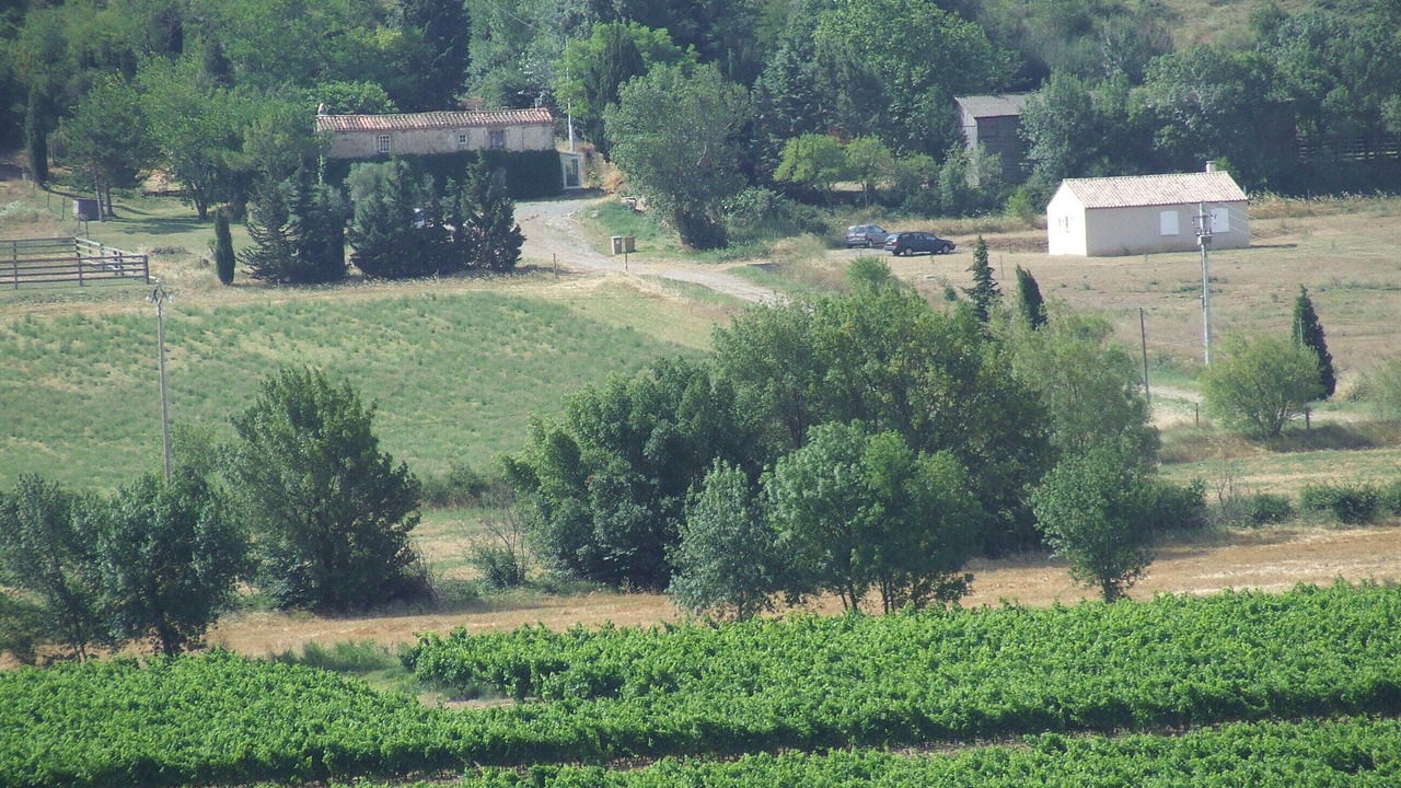 Photo of Outdoor in Montlaur