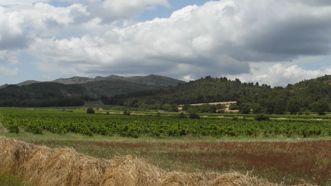 Photo of Outdoor in Montlaur