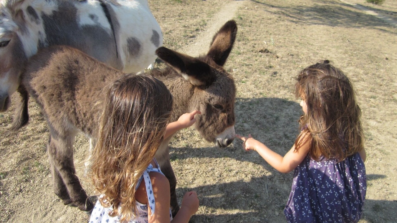 Photo of Others in Montlaur