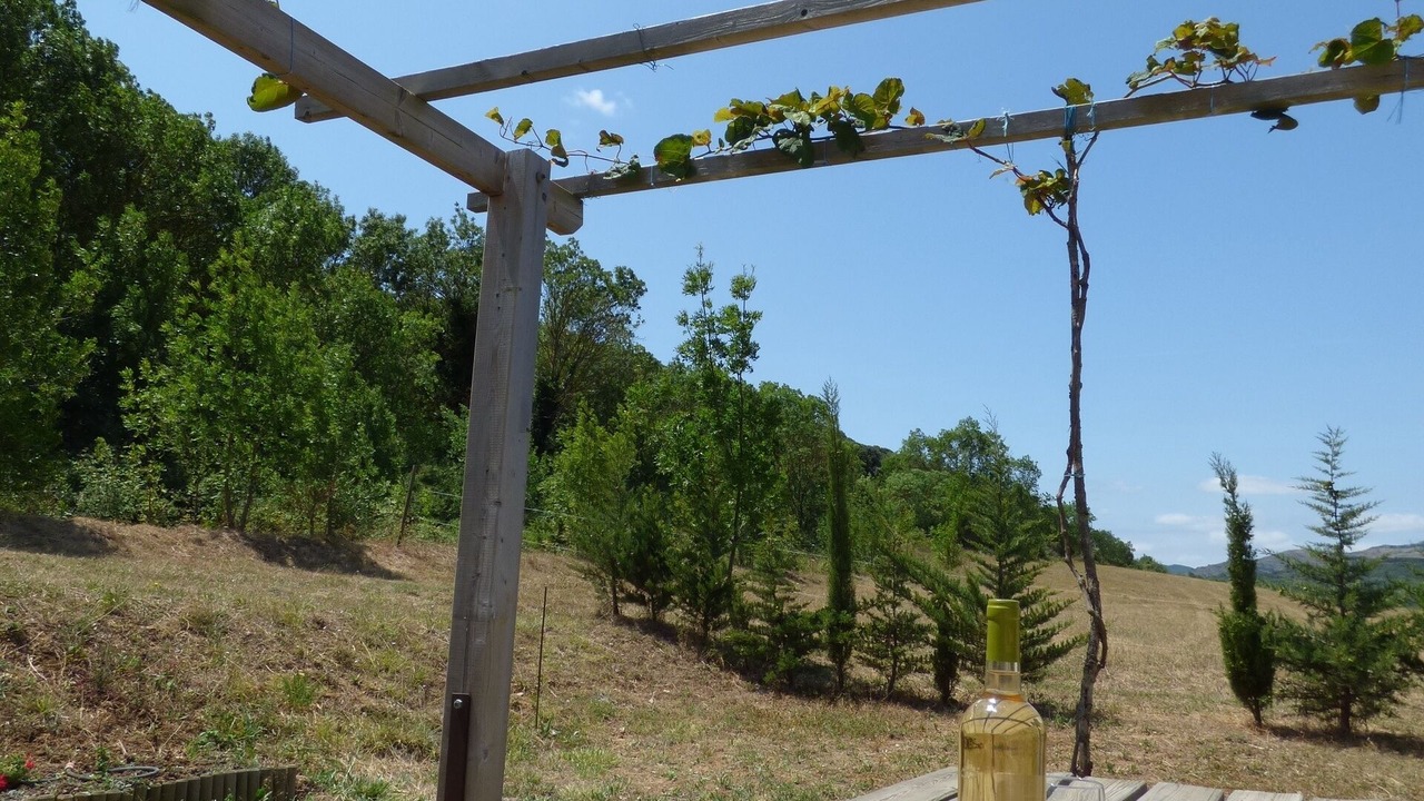 Photo of Outdoor in Montlaur