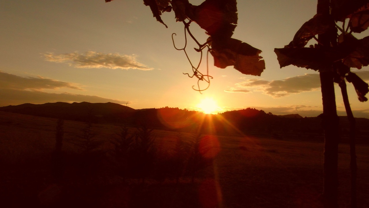 Photo of Others in Montlaur