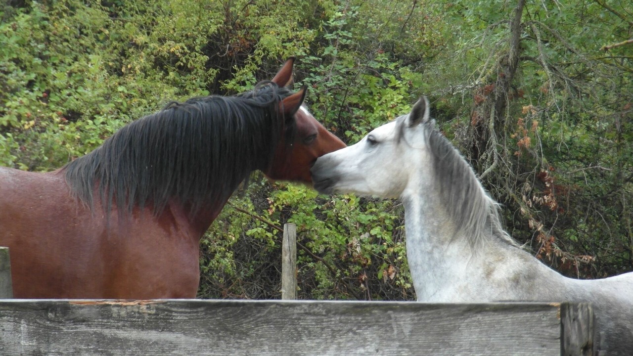 Photo of Outdoor in Montlaur