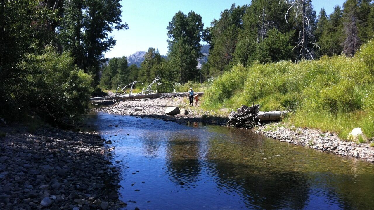 Photo of Others in Tahoe Pines