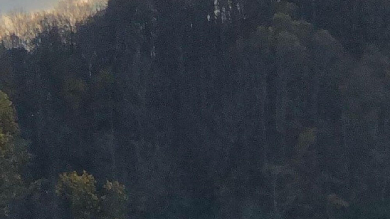 Photo of Outdoor in Zionville