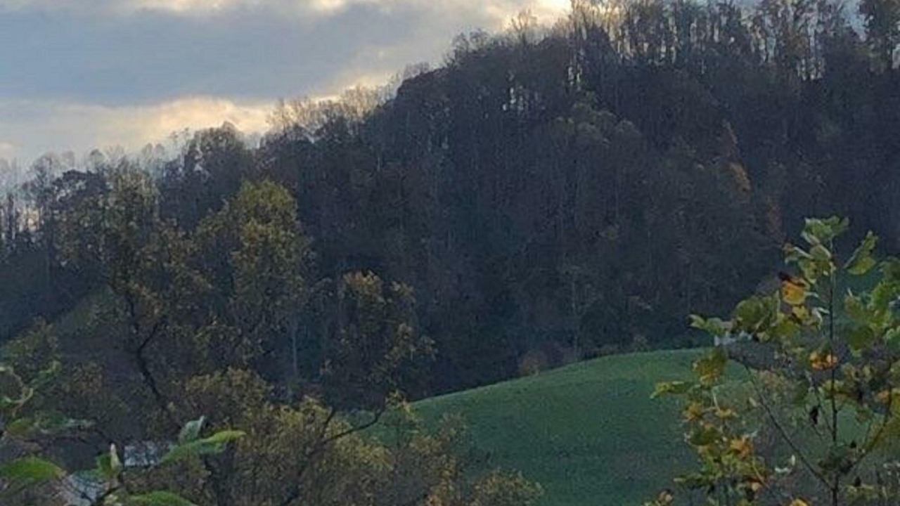 Photo of Outdoor in Zionville