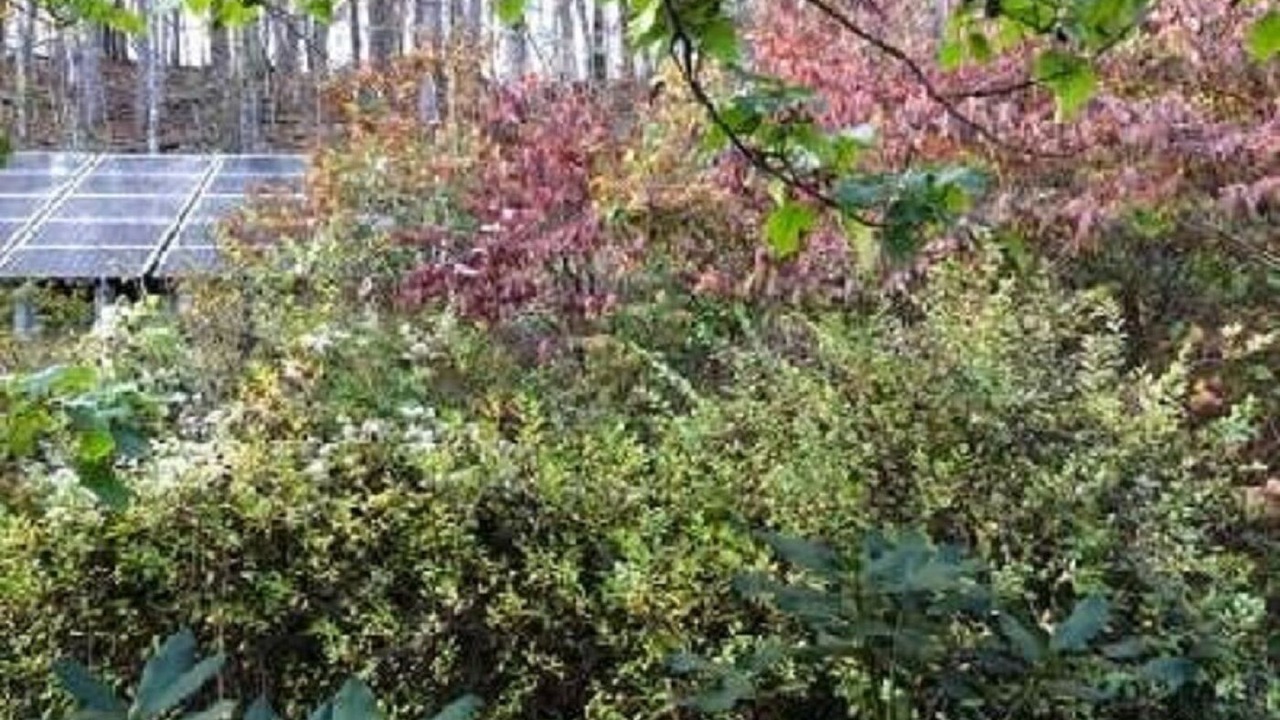 Photo of Outdoor in Zionville
