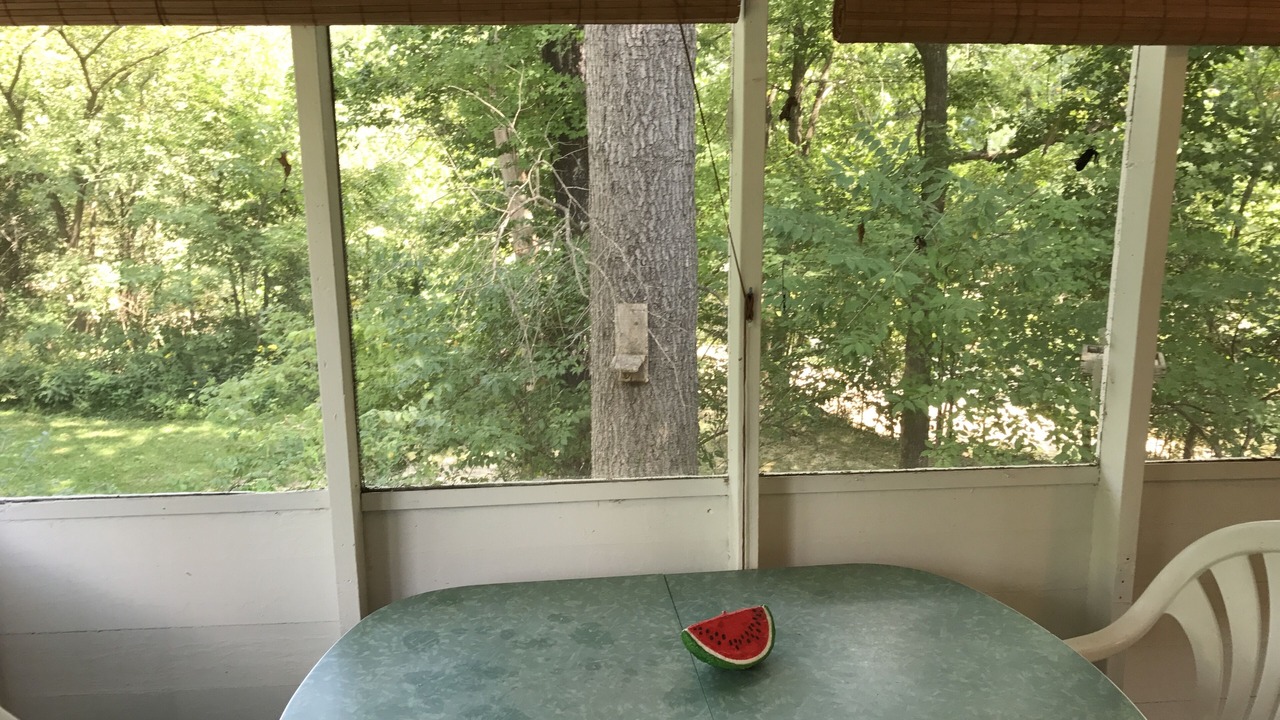 Photo of Outdoor in Tea